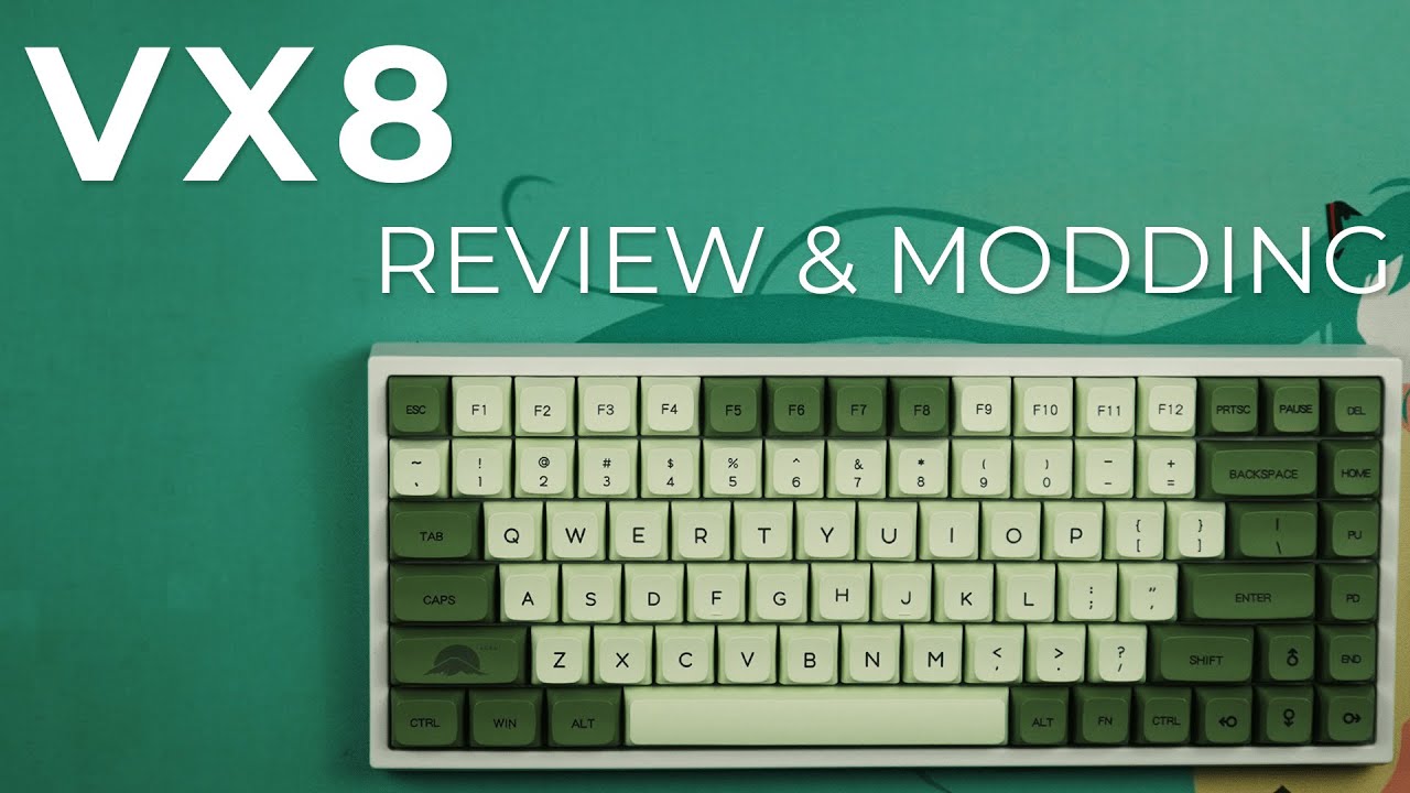 Best value 75%?? | VortexSeries VX8 Review & Modding