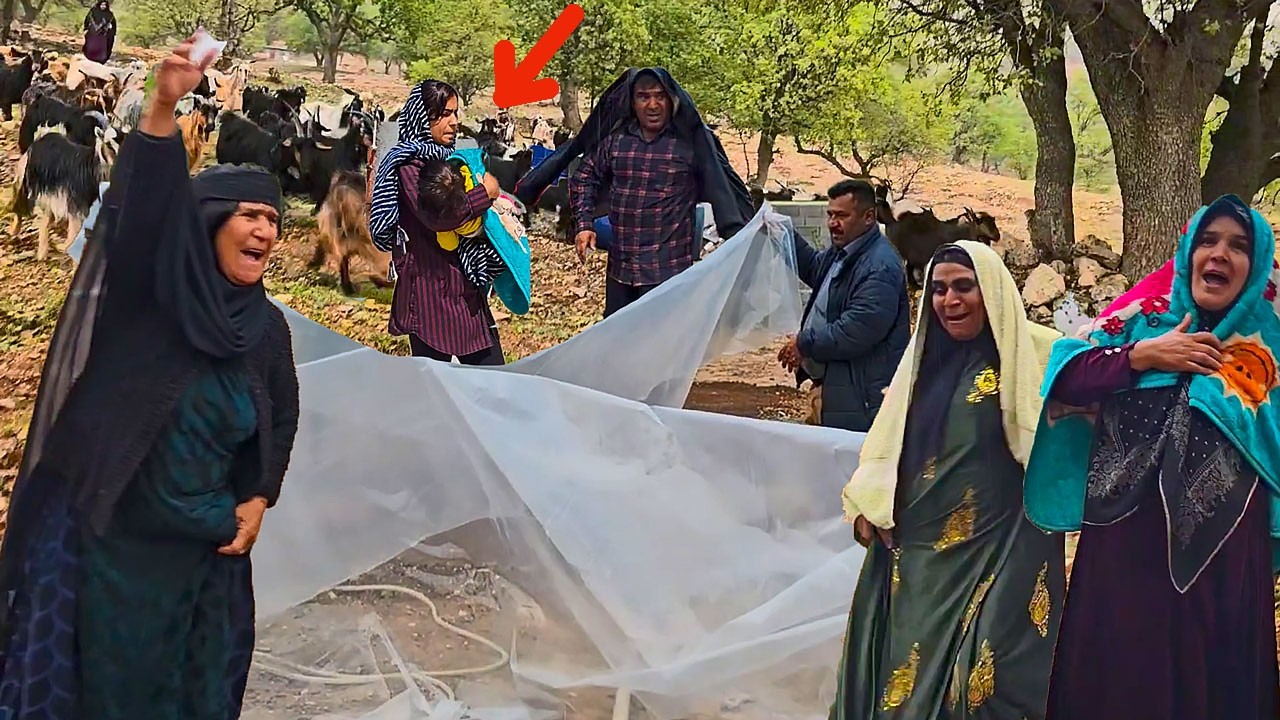 A mysterious incident and the screams of the Grandma's family to solve it