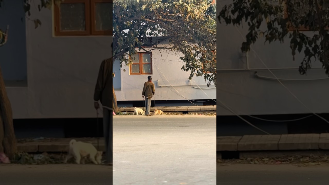 Last exam vlog. ഹാവൂ.....അങ്ങനെ exam കഴിഞ്ഞു 😌😂