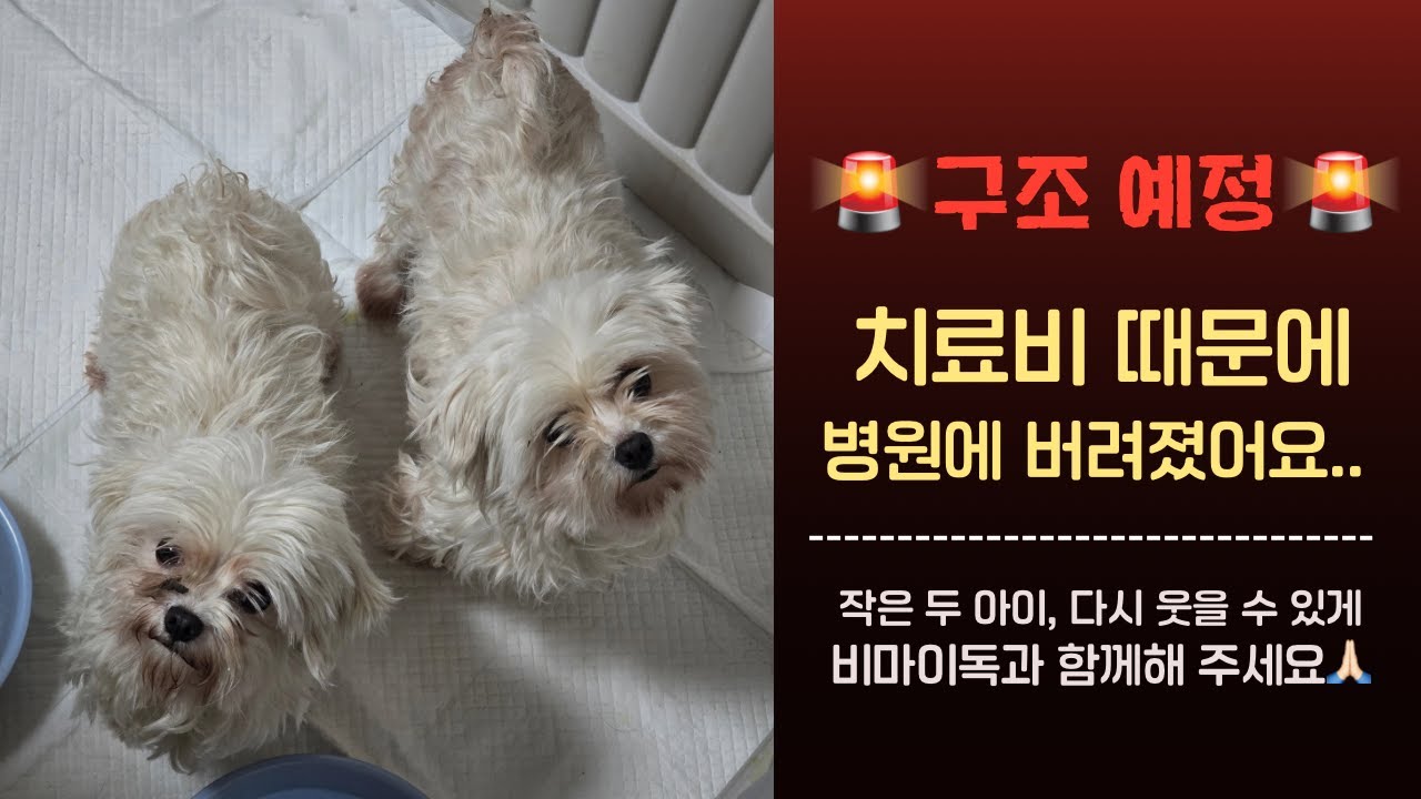 경제적으로 힘들면 버리는게 유행인가 ㅅㅂ