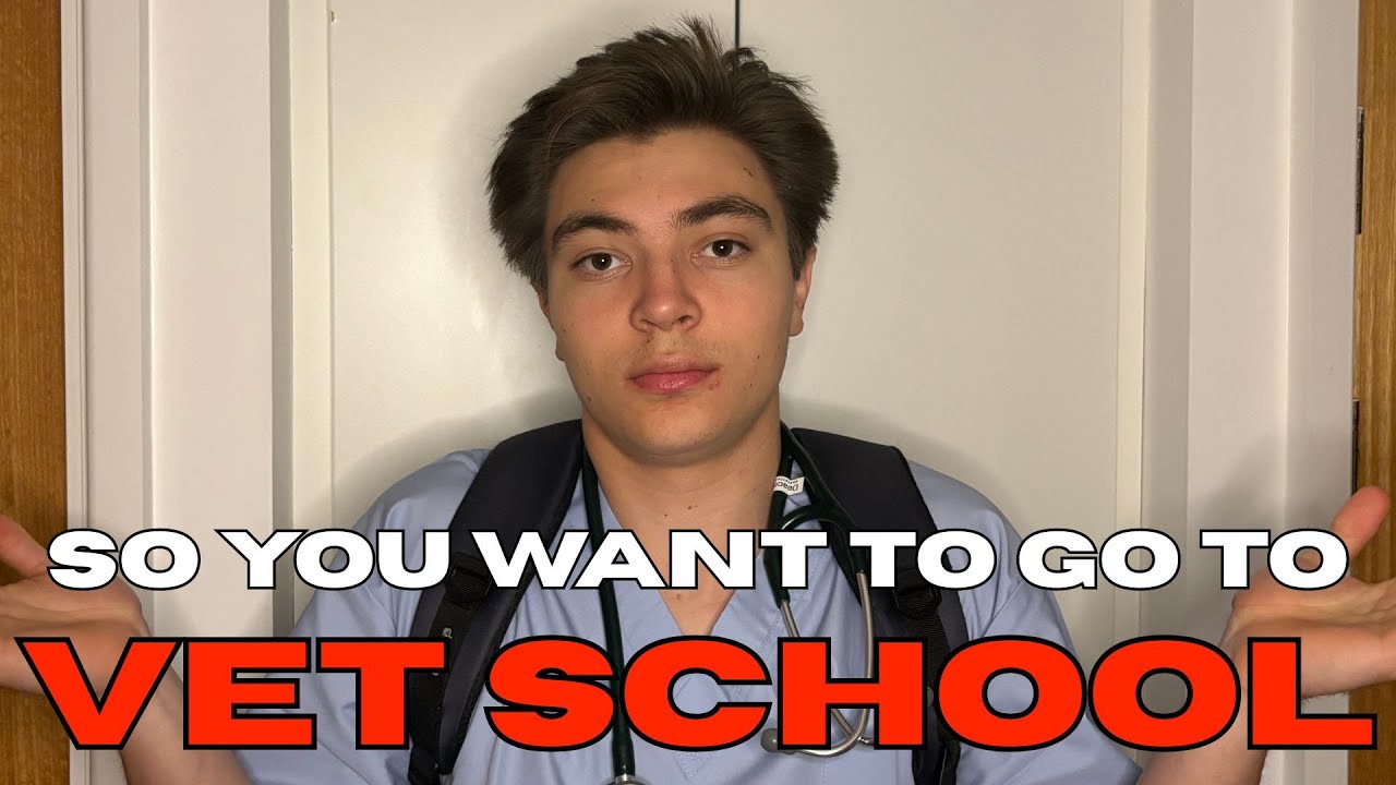 Vet Student Vlog: Busy Week, Real Talk, Staying Motivated