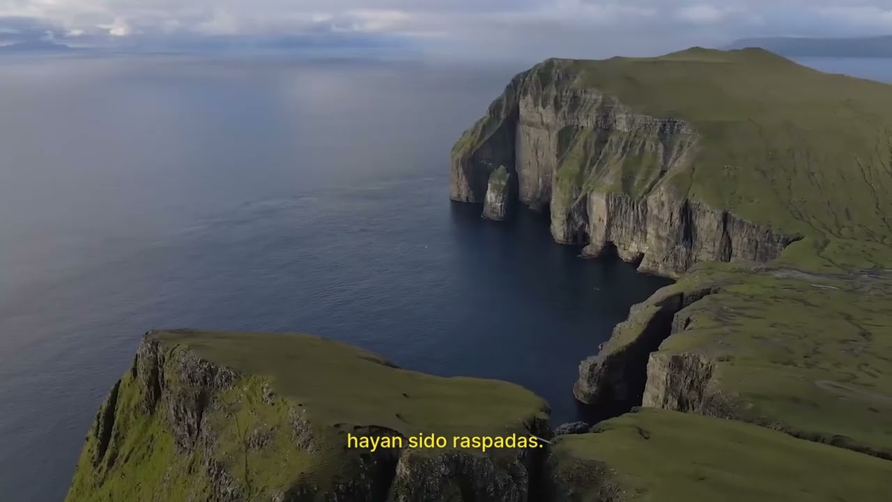 DÍA 54: ESPERÉ CON PACIENCIA Y EL SEÑOR ESCUCHÓ MI CLAMOR