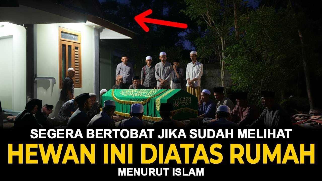 MERINDING PERINGATAN DARI ALLAH JIKA SUDAH ADA 10 HEWAN INI DI ATAS RUMAH
