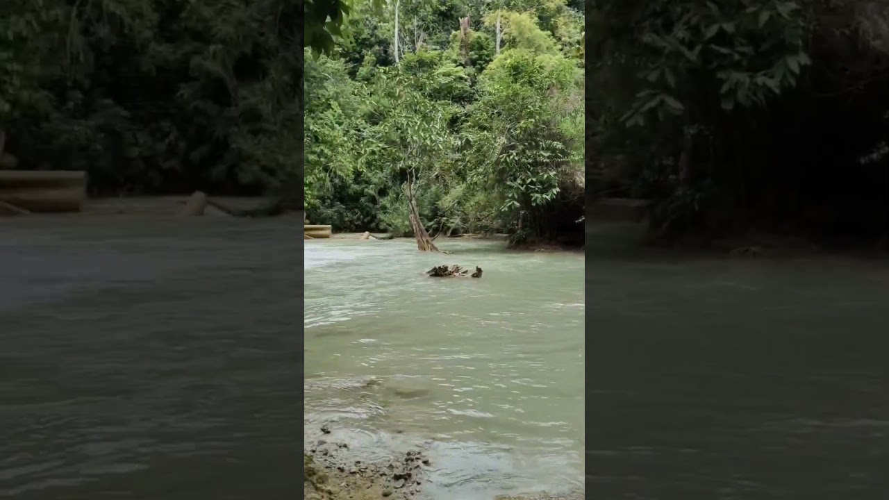 Kuang Si Waterfall Laos 🇱🇦 