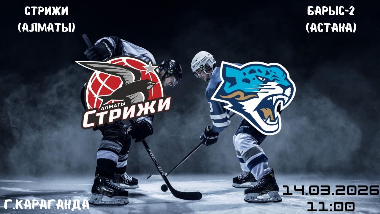 Стрижи - Барыс   14.03.2026   11:00
