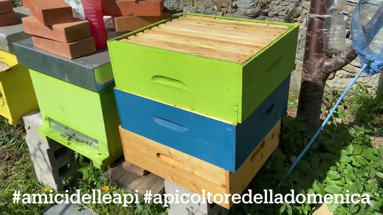 Mettiamo i melari o e’ troppo presto?