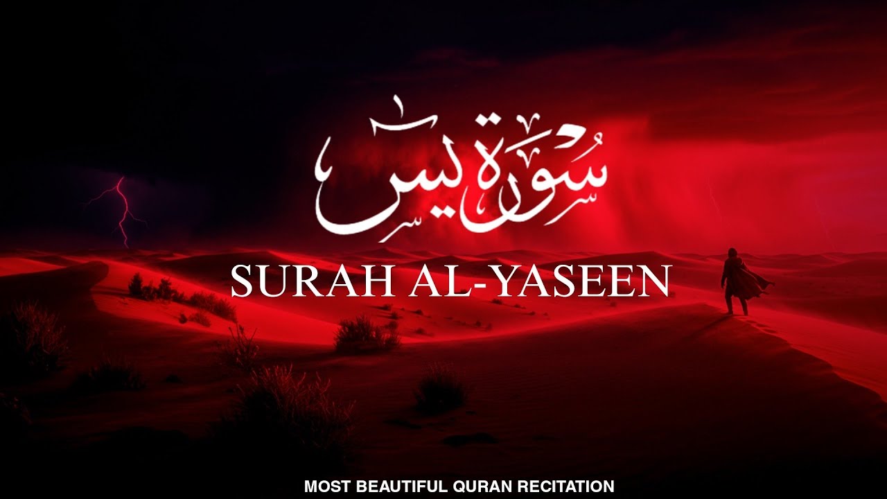Surah Yaseen Full HD | Cure for Every Problem | Best Tilawat for Peace of Heart