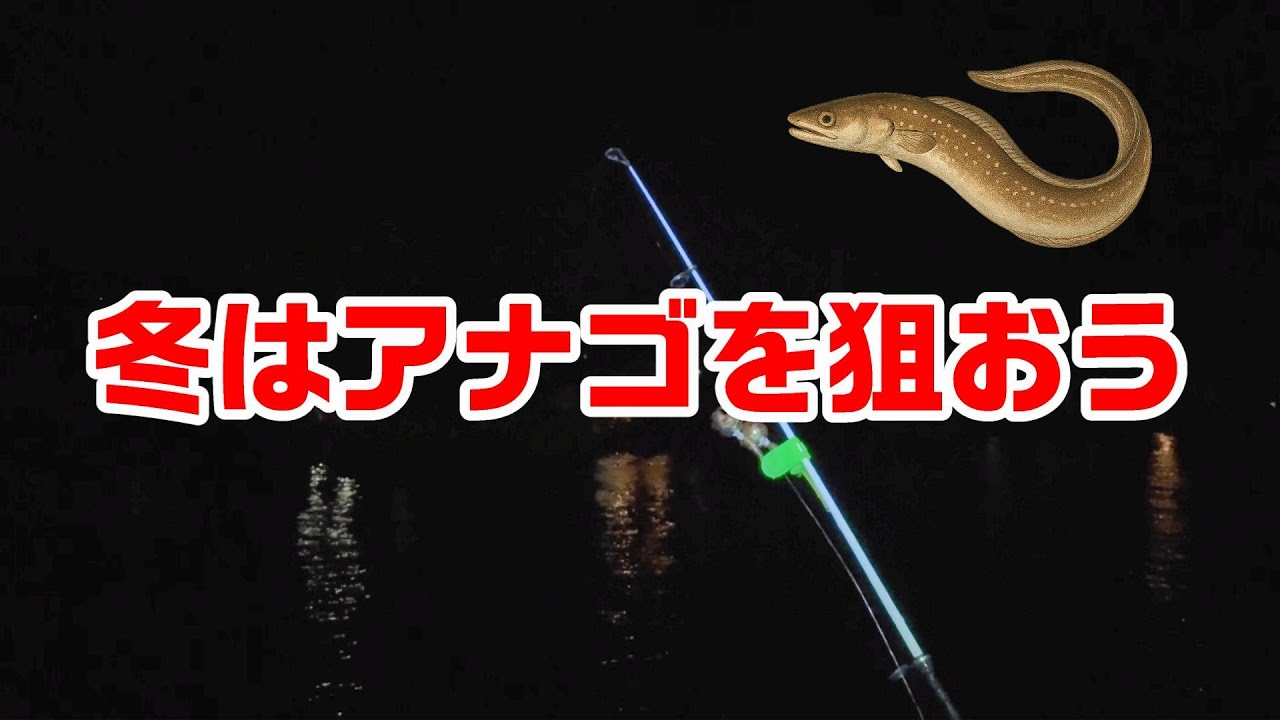 【マアナゴ】冬と言ったらアナゴ釣り
