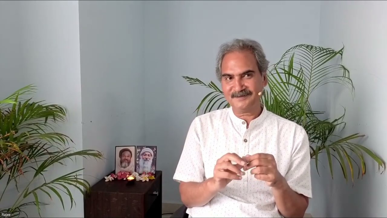 Life as Meditation   Two birds 31st January 2026