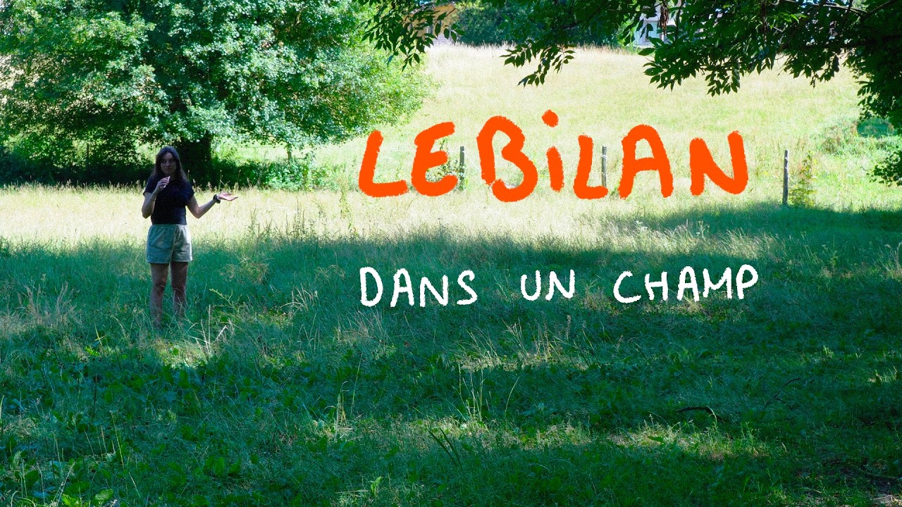 BILAN : 3 ans en tant qu'illustratrice freelance