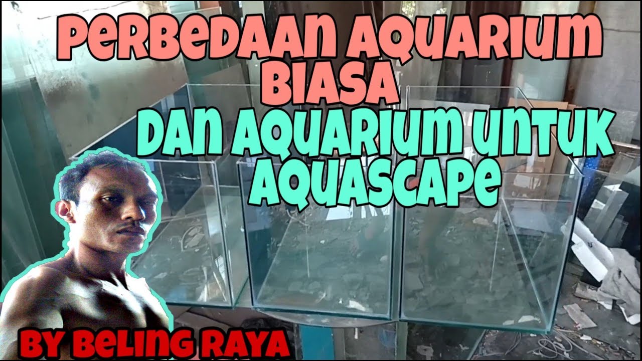 PERBEDAAN AQUARIUM UNTUK AQUASCAPE #aquarium #aquascape