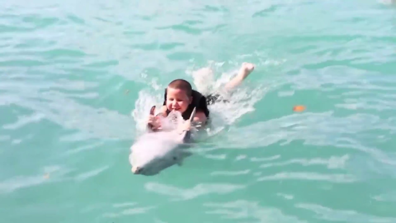 Dolphin Swim Adventure Montego Bay | Dolphin Cove
