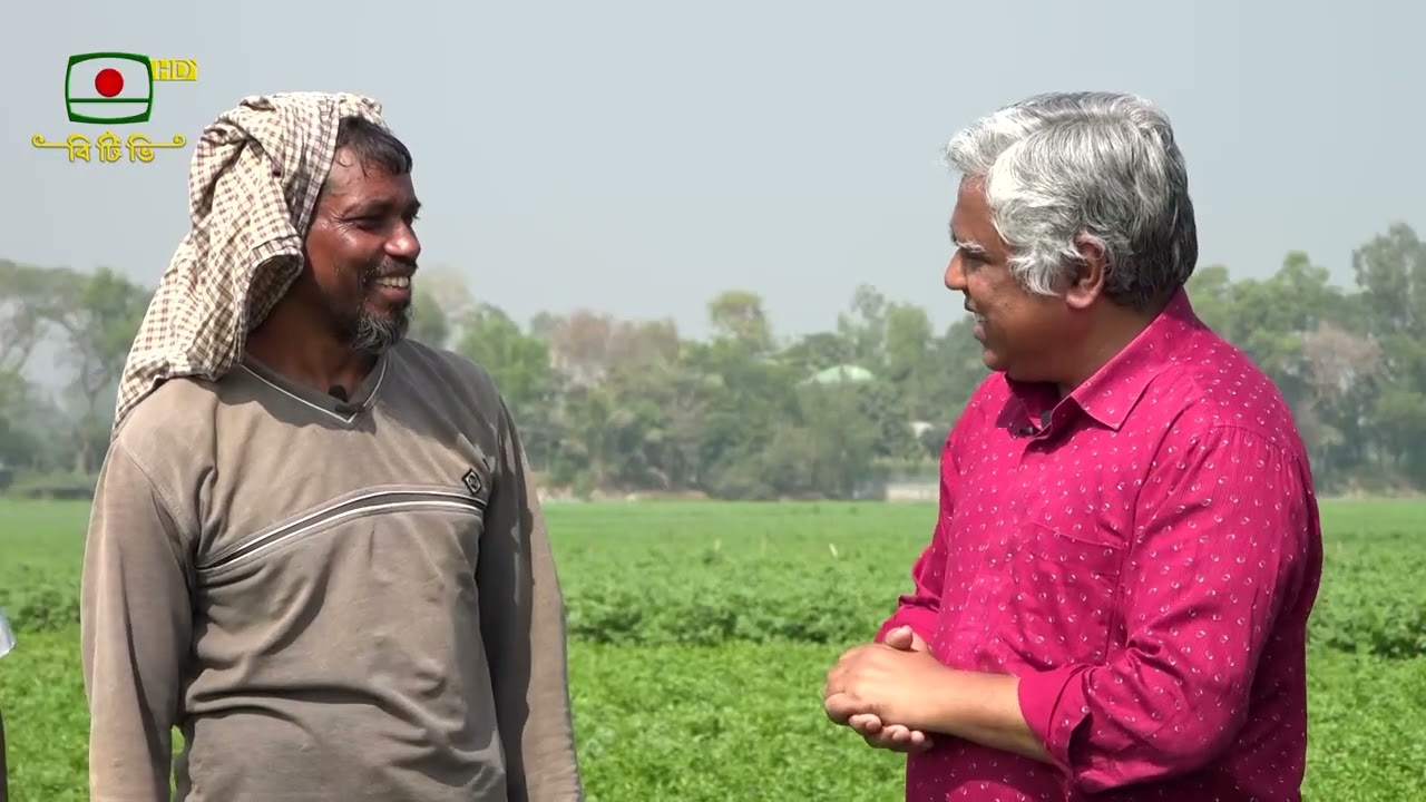 মুন্সিগঞ্জের আলু
