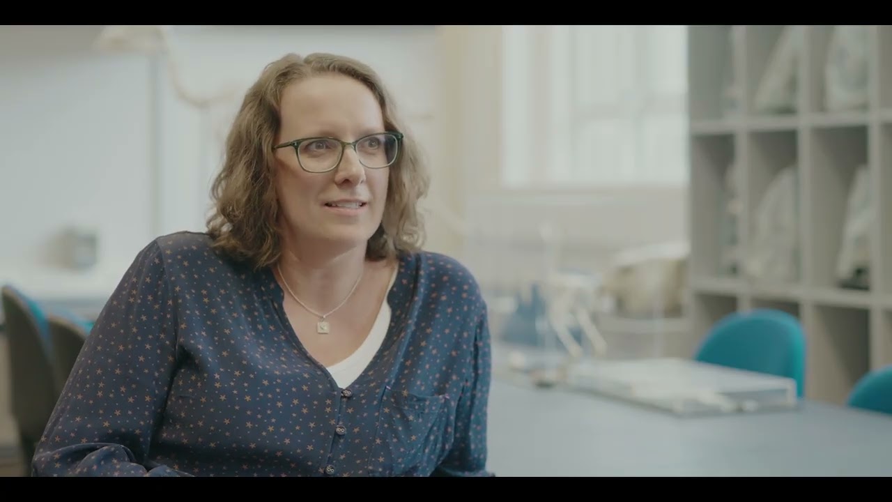 T Level Industry Placements Showreel