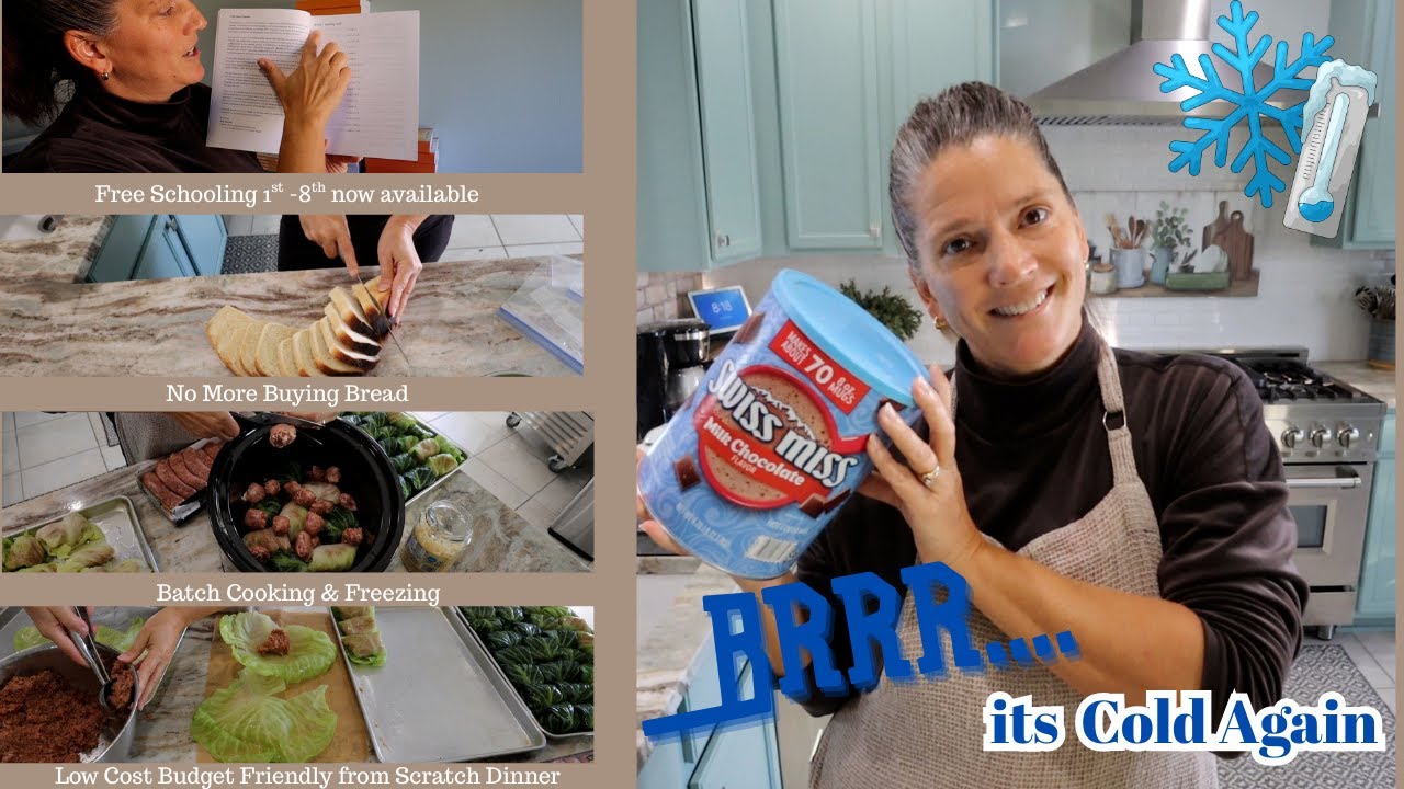 Back to Cold | Budget Friendly Cabbage Dinners | Schooling Resources