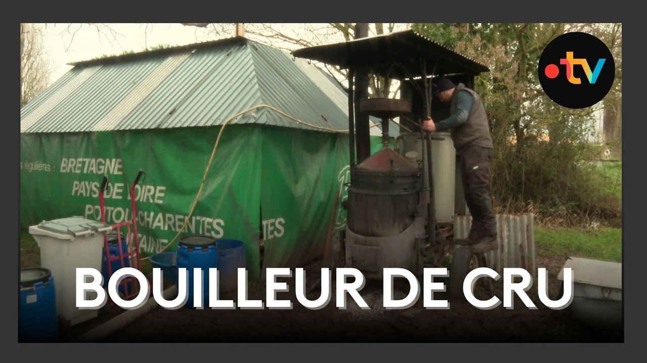 Bouilleur de cru, ils ne sont plus que trois : les derniers maîtres des alambics