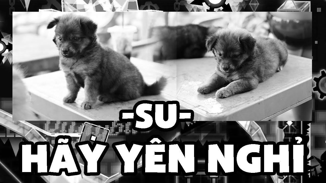 🔴Tạm Biệt Su - Stream tới s&aacute;ng!