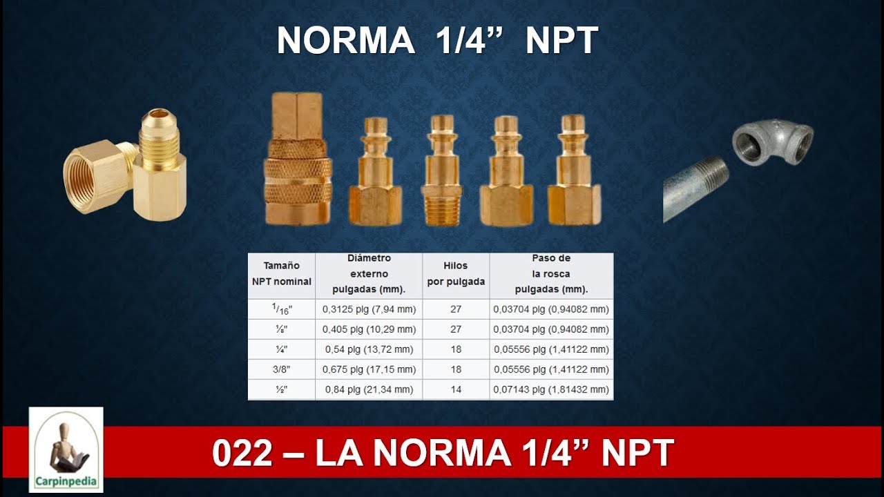 022 - La Norma 1/4