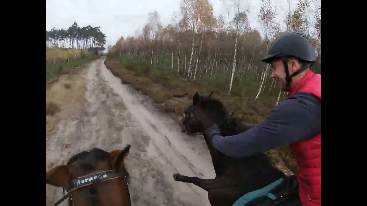#W siodle 🔥🔥#Pas startowy - 48km/h - cała długość - Eldorado