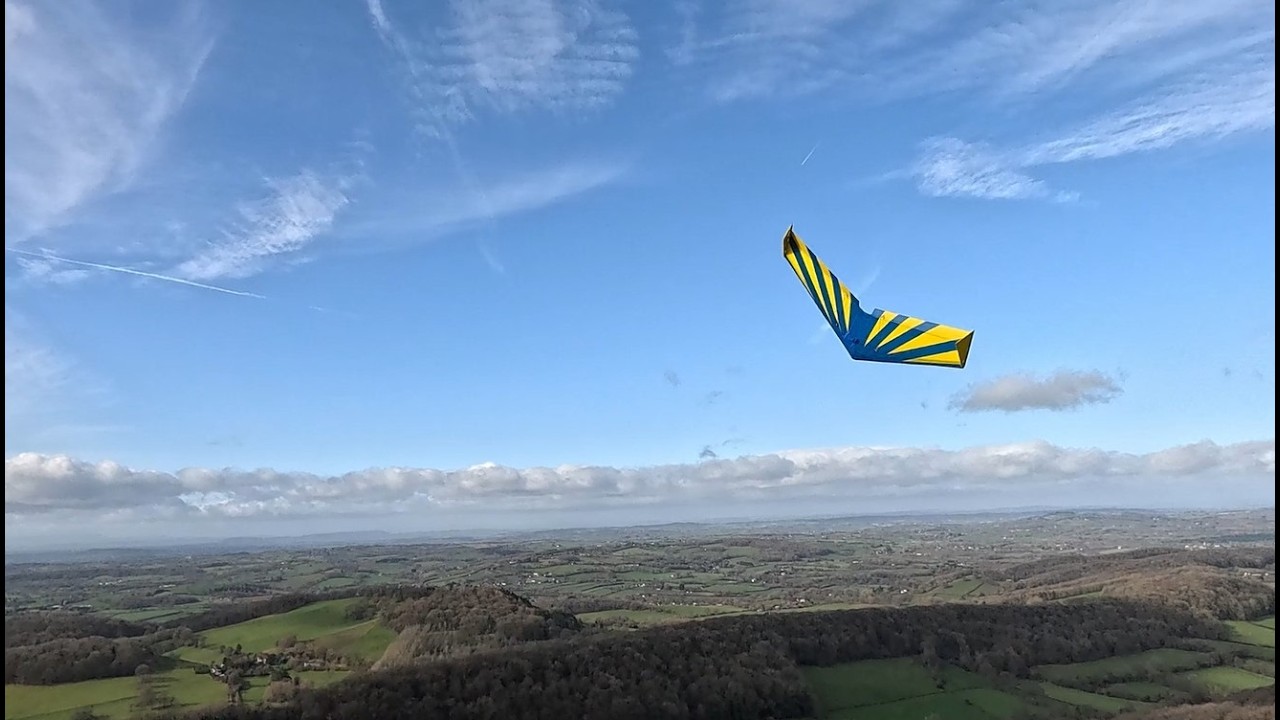 Zagi Slope soaring and Limbo Mayhem