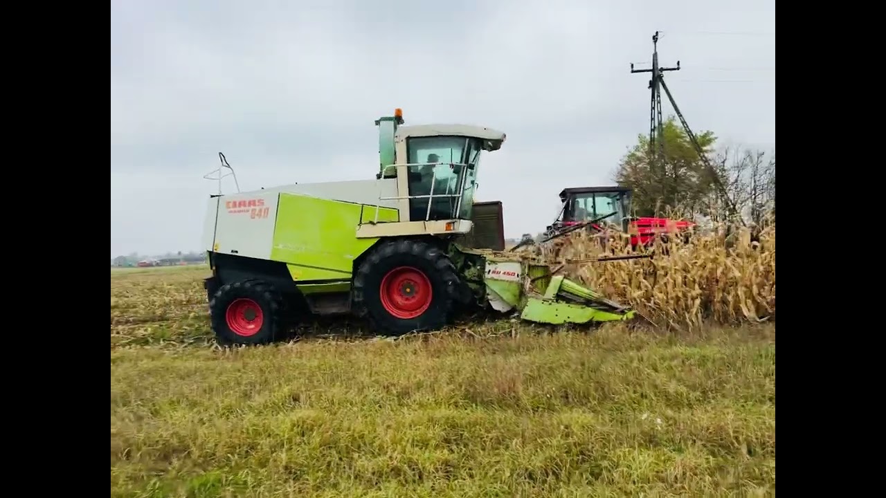 CLAAS JAGUAR 840 z kemperem RU450, 2000 rok, napęd 4x4, gniotownik, noże w bardzo dobrym stanie  