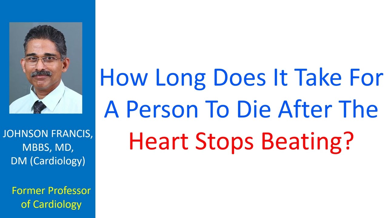 How Long Does It Take For A Person To Die After The Heart Stops Beating?