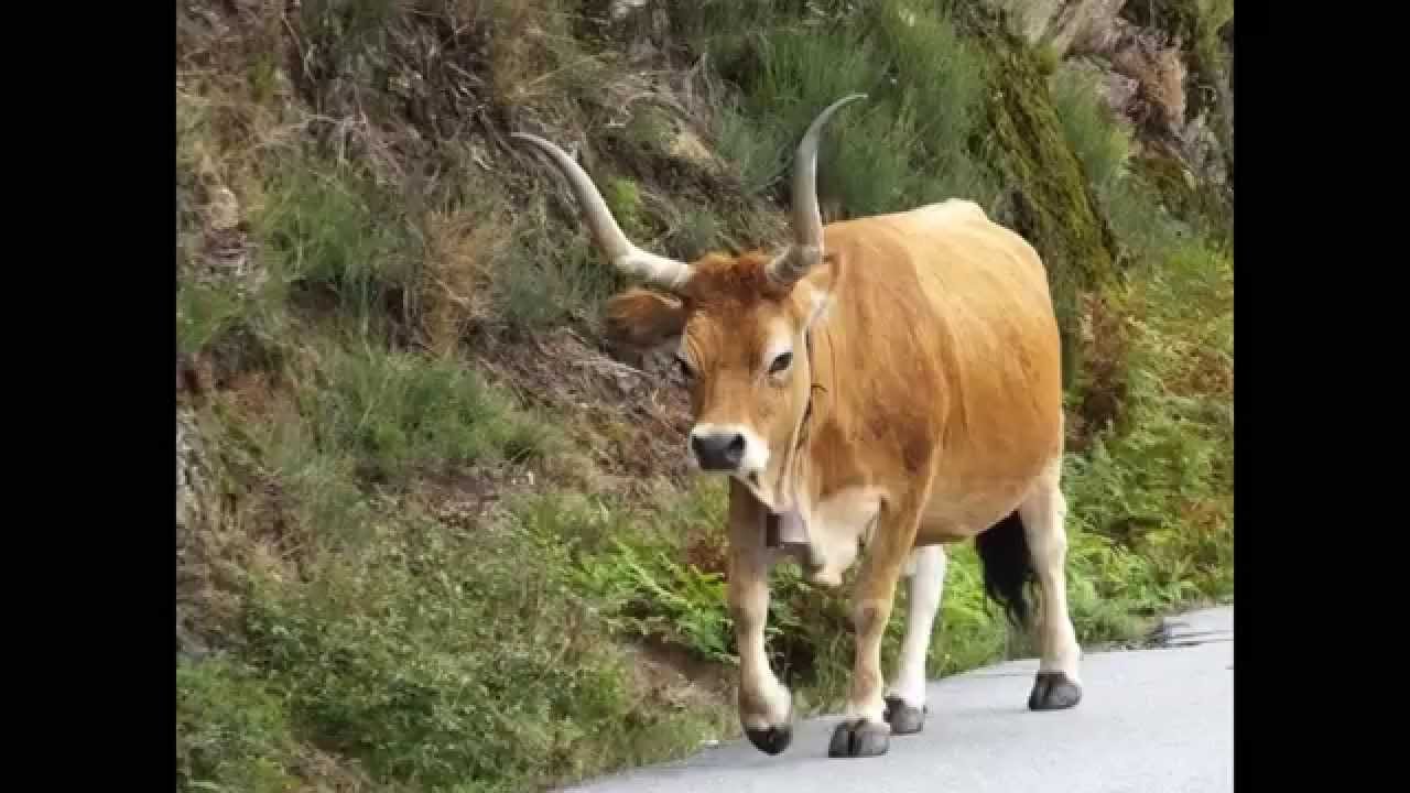 SERRA DO GERES em fotografia