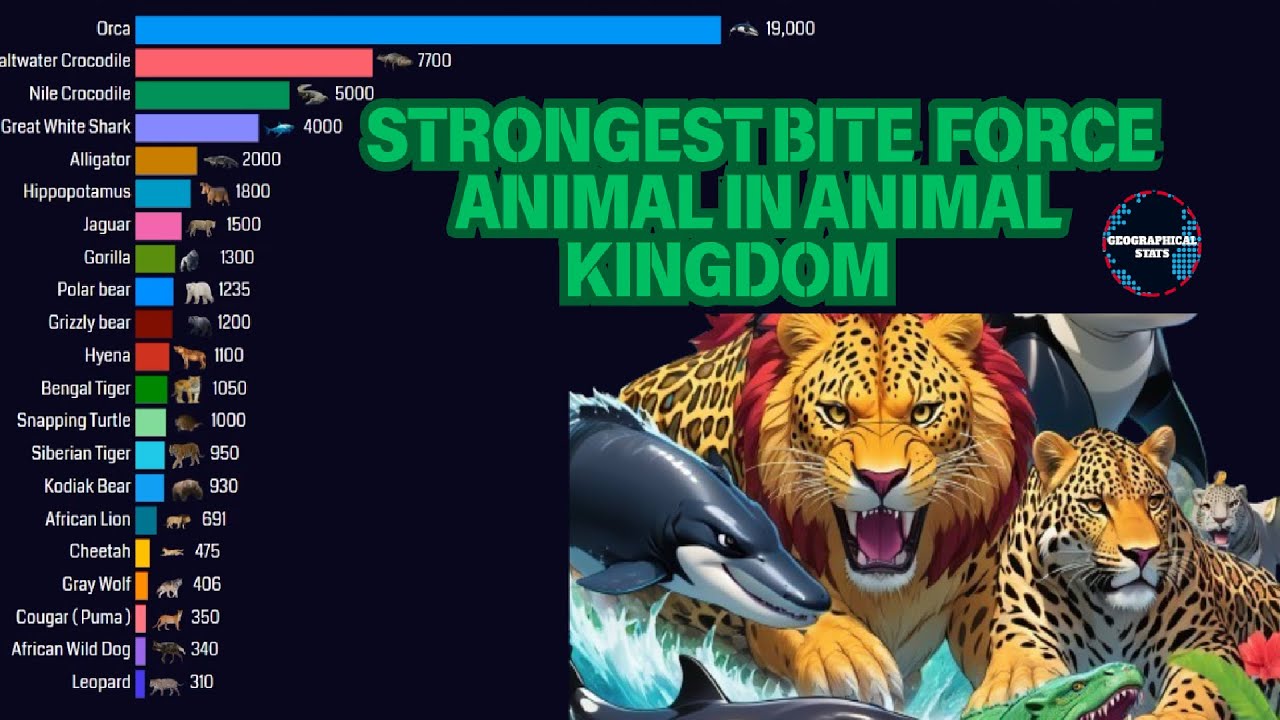 Strongest Bite Force Animal In Animal Kingdom | Geographical Stats