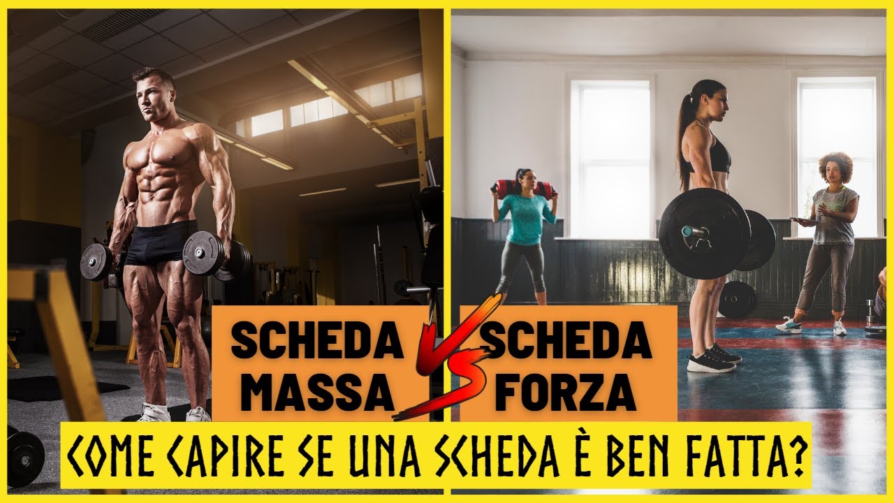 Scheda Massa vs. Forza - come riconoscere una buona scheda?