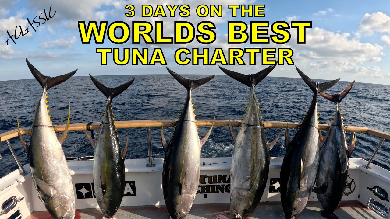 3 дня в лучшем в мире чартере на тунца | Marla&rsquo;s Sportfishing, Мексика