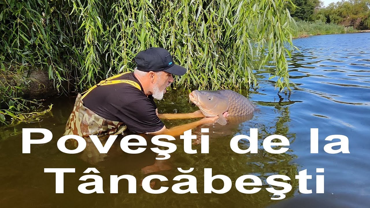 Istoria numelor standurilor de la Tâncăbești