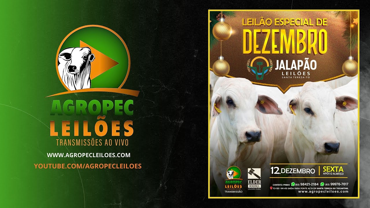 Agropecleiloes.com LEILÃO ESPECIAL DE DEZEMBRO | JALAPÃO LEILÕES - SANTA TEREZA-TO | 12/12/2025.