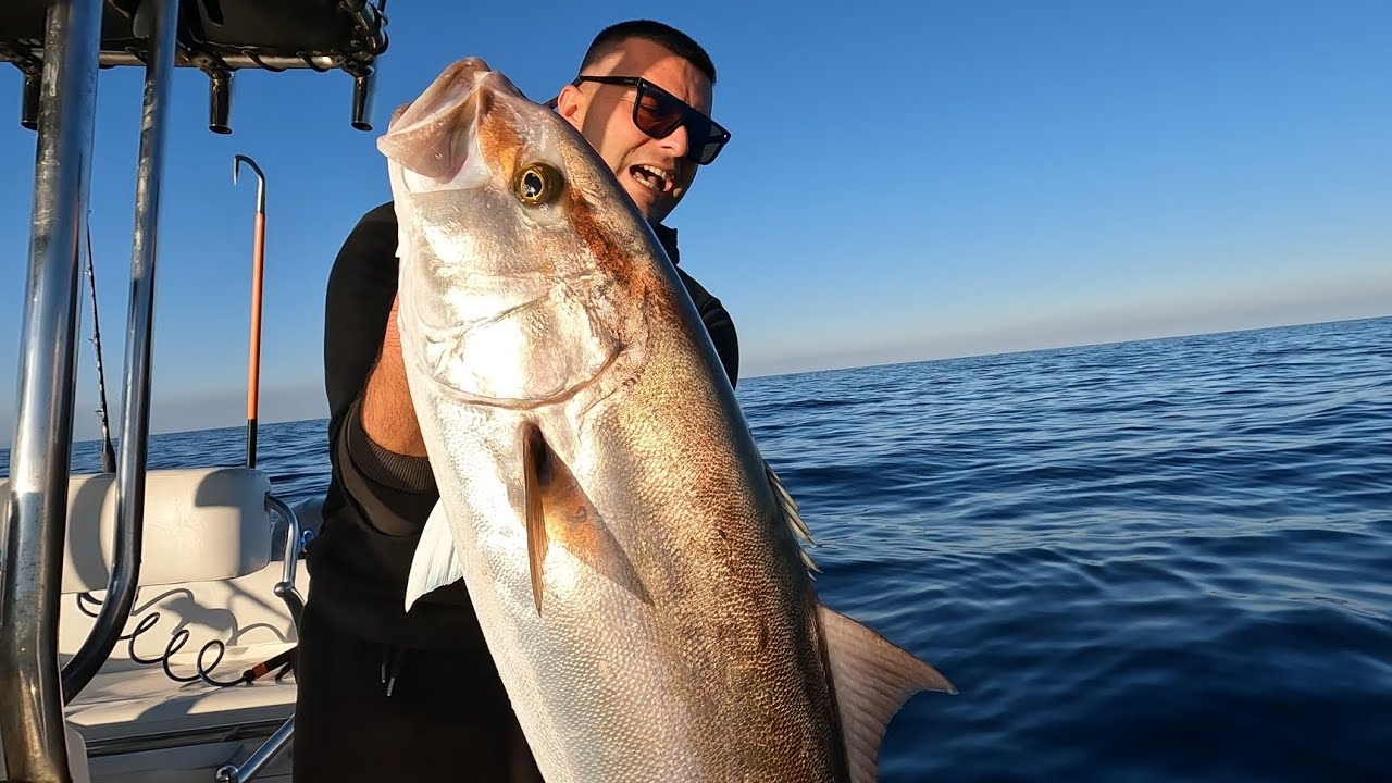 Traina alla Ricciola in solitaria
