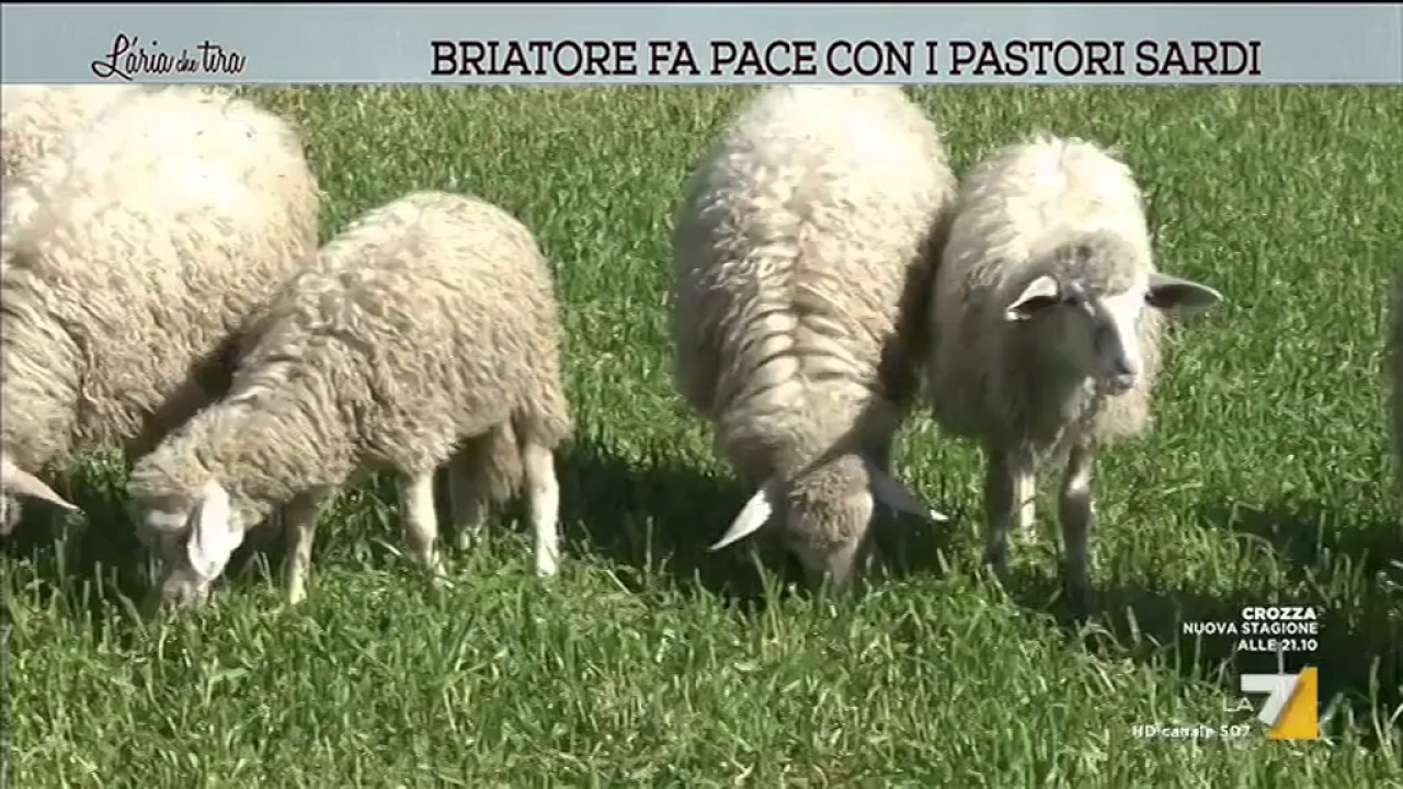 Briatore fa pace con i pastori sardi