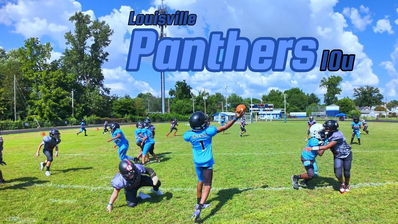 Panthers Give the Bullies a TASTE OF THEIR OWN MEDICINE! 😤