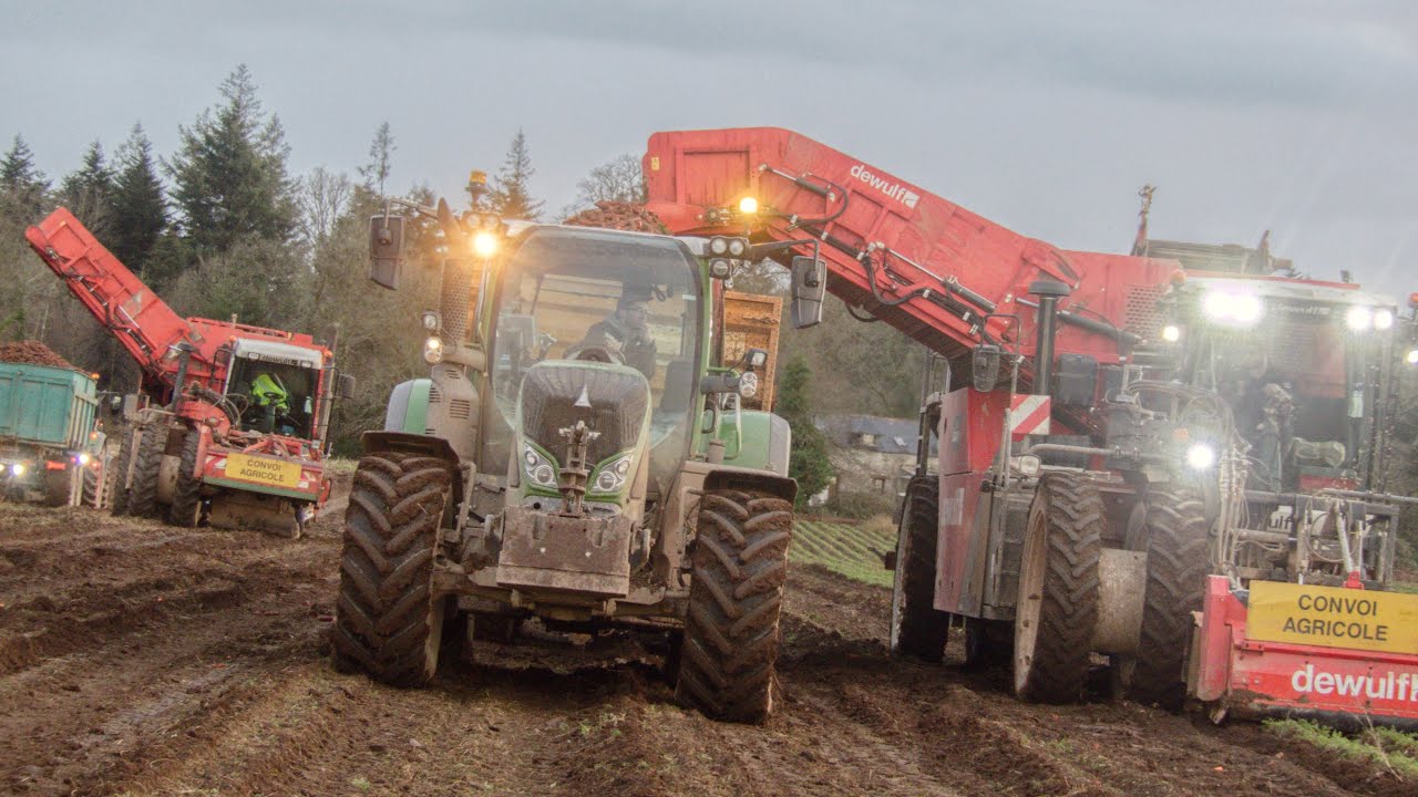 🇫🇷🥕 X2 DEWULF & FENDT À LA RÉCOLTE DES GROSSES CAROTTES 🥕 | COOPERATIVE EUREDEN 🥬