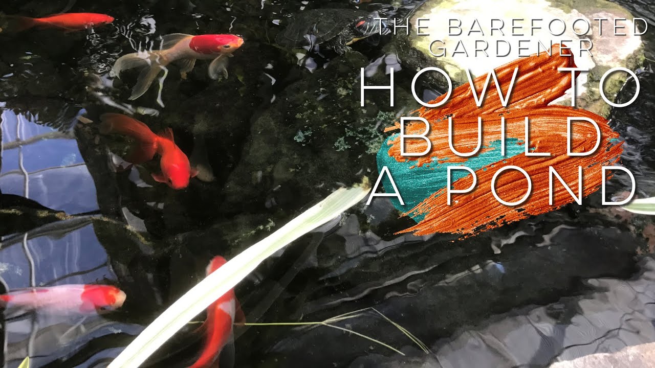 Строительство пруда для золотых рыбок и как это сделать вам | The Barefooted Gardener
