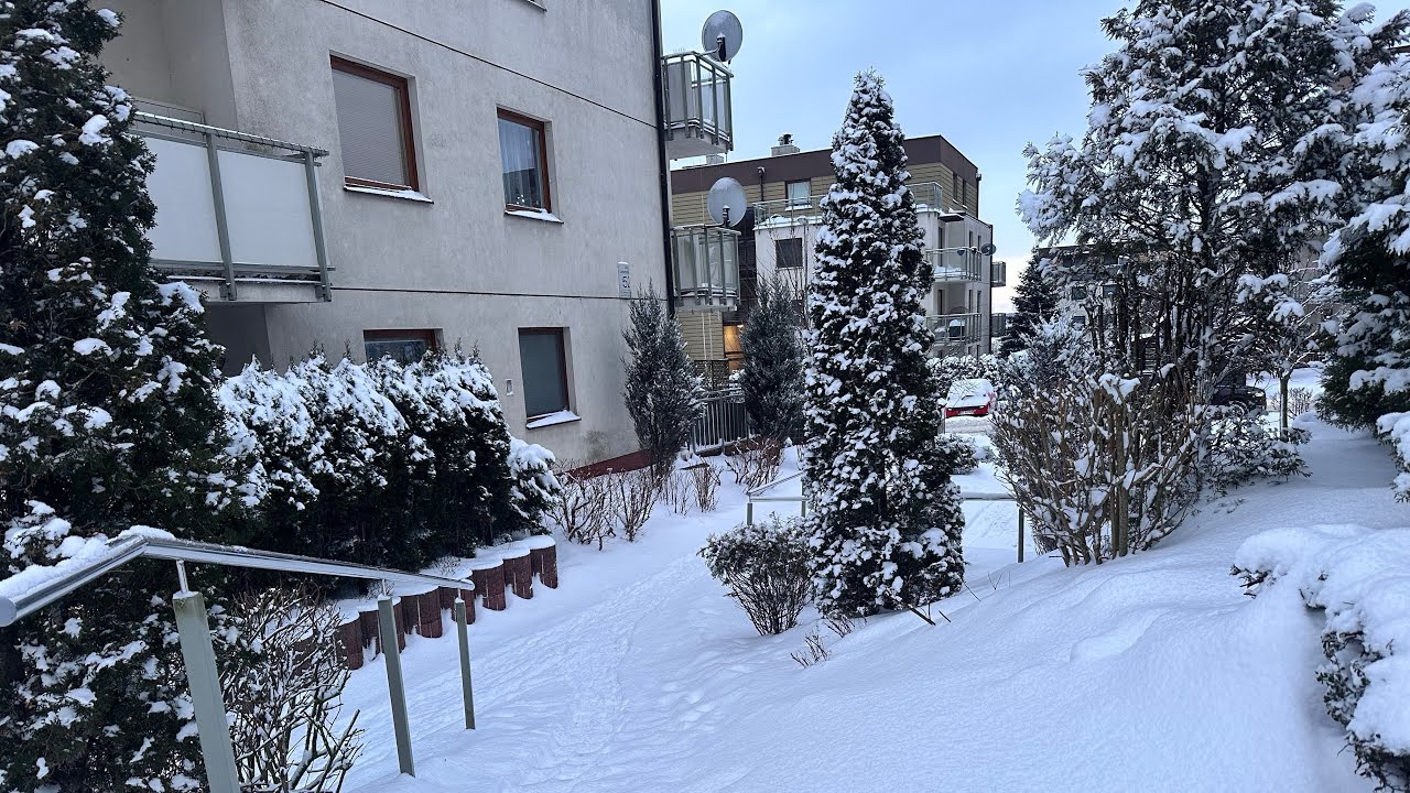 6 - 7 дни эксперимента. Два рабочих дня. Закупка продуктов по скидкам. Еда без лишнего. 