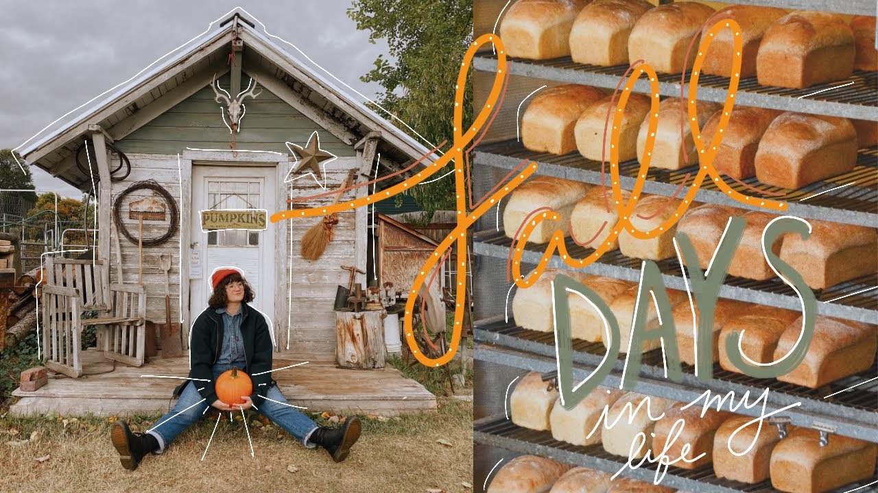 fall days in my life  working at a bakery, desk tour + pumpkin patch ✩