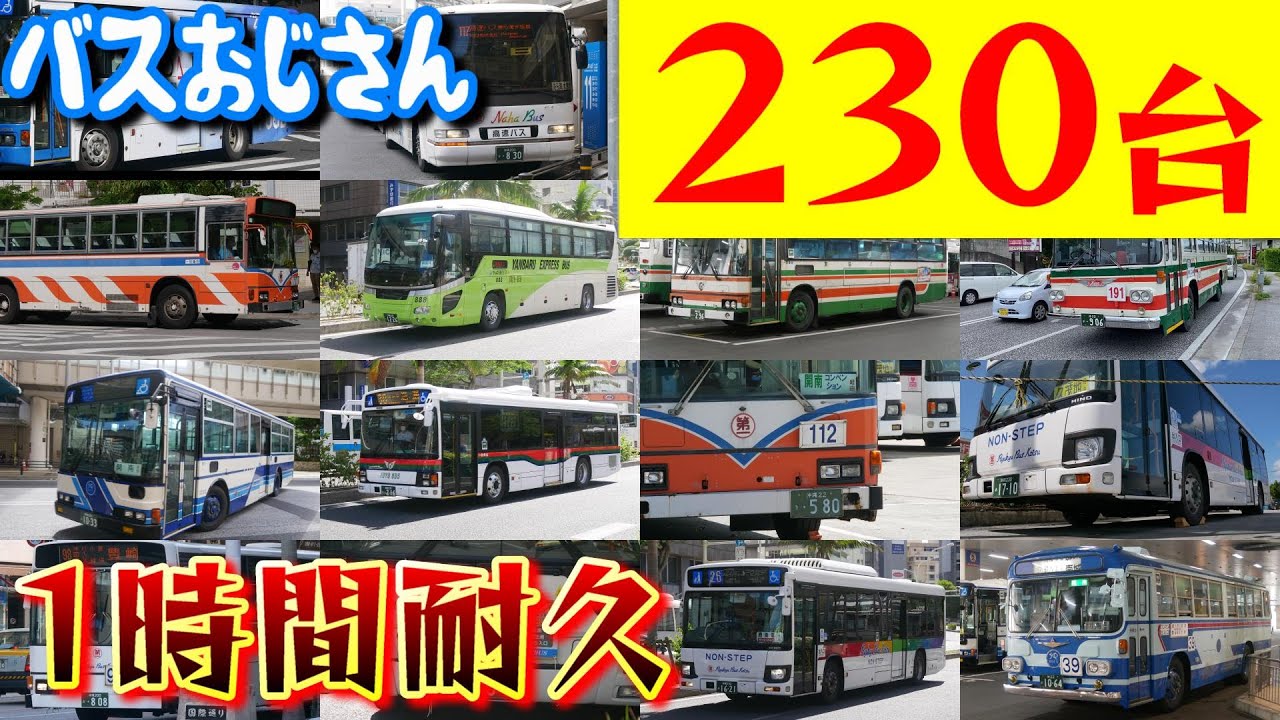 【230台・1時間耐久】沖縄の路線バス走行シーン[4K]