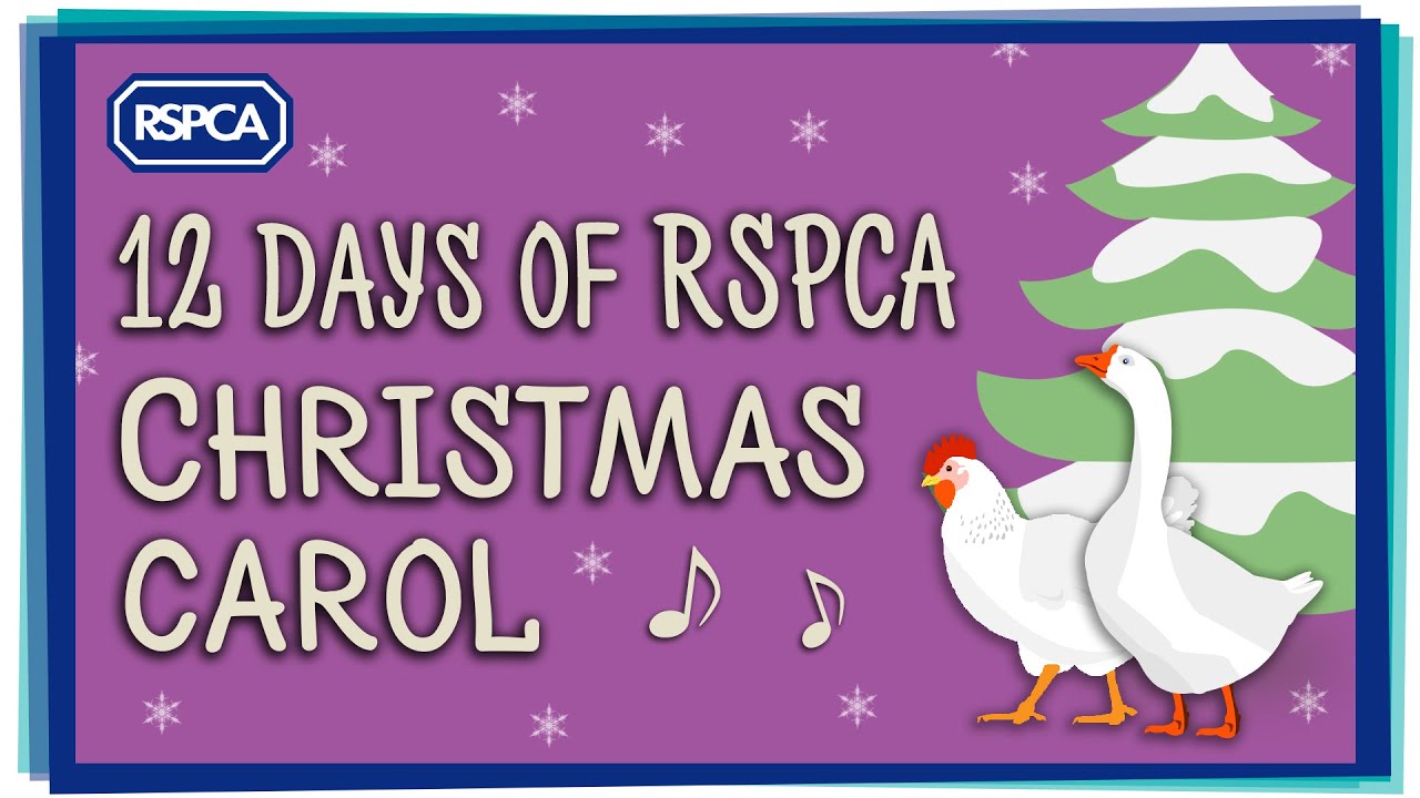 12 Days of RSPCA