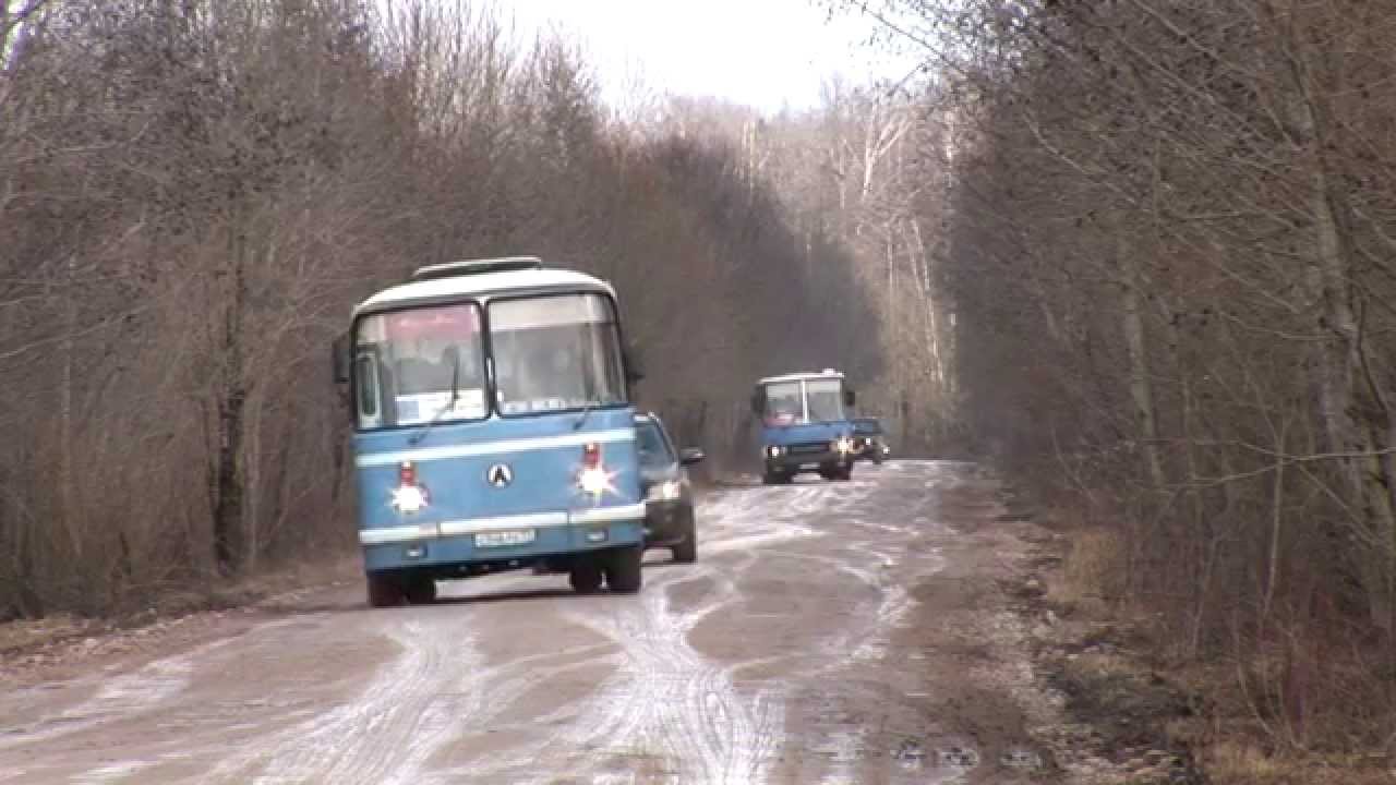 Автобусы ЛАЗ 695 и Икарус 256