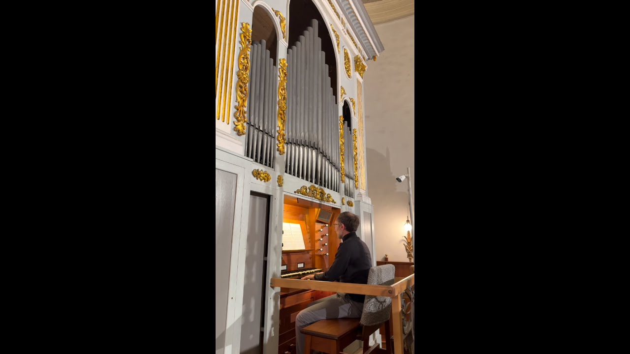 Il maestro organista 𝗠𝗮𝗿𝗰𝗲𝗹𝗹𝗼 𝗥𝗼𝘀𝘀𝗶 𝗖𝗼𝗿𝗿𝗮𝗱𝗶𝗻𝗶 presenta l'Organo George William Trice - 1894