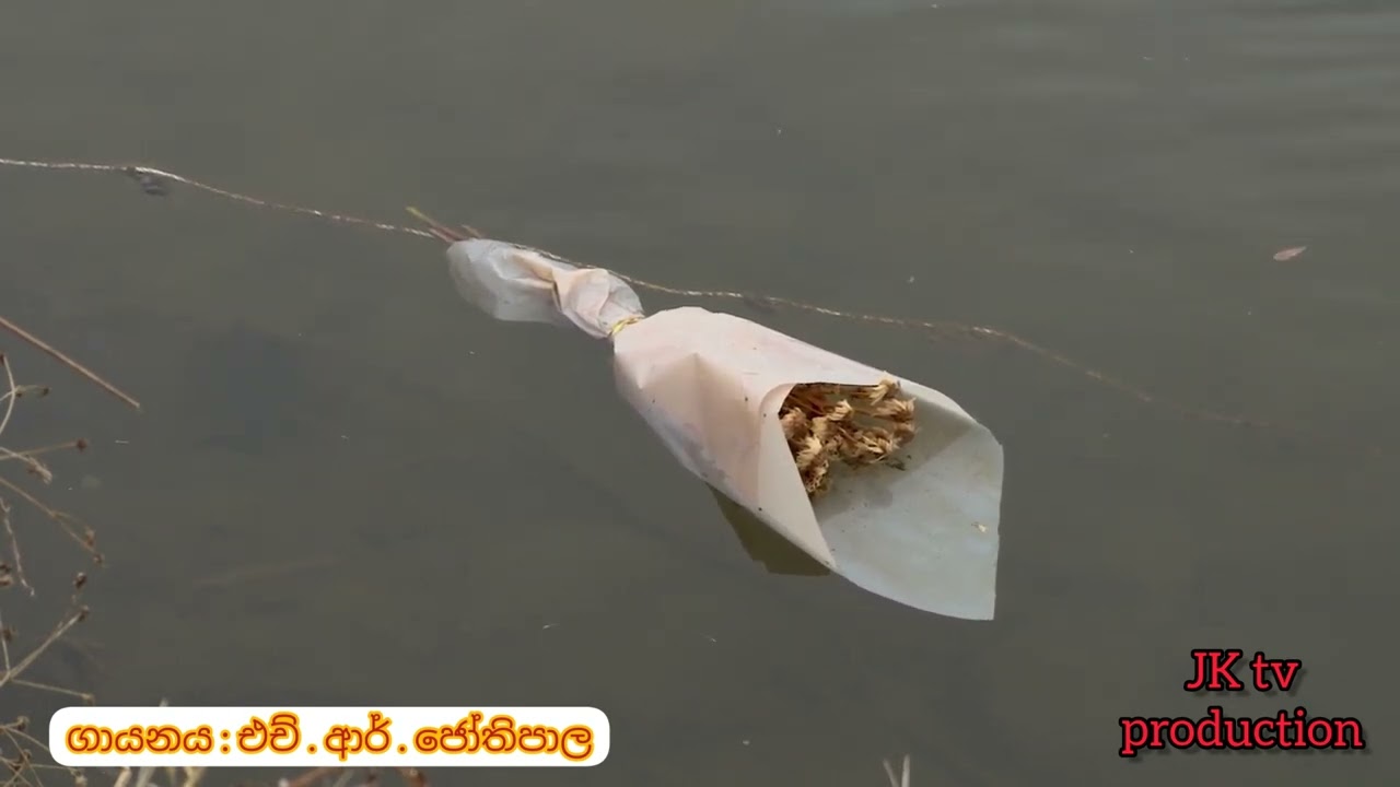 ඔබෙ සැප මගෙ සතුටයි... මුතු බිහි කරලා අනුනට බෙදනා මුතු බෙල්ලෙකු මෙනි අද මා ඉන්නේ...