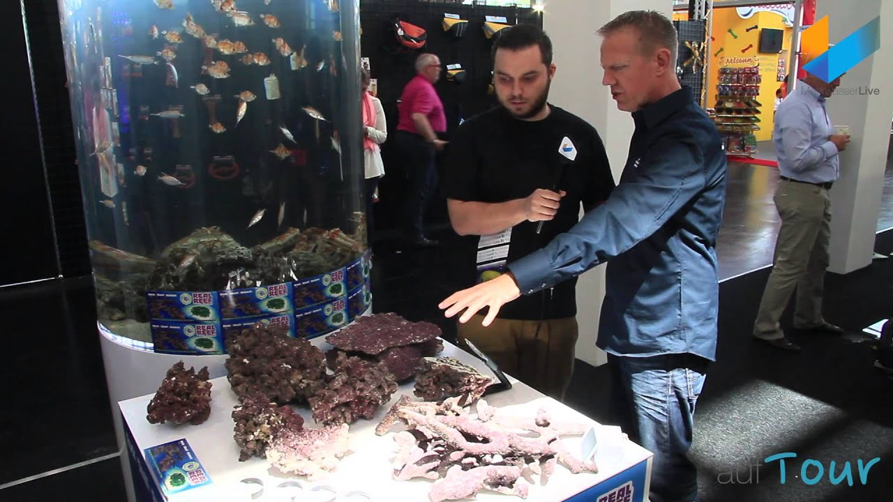 De Jong / Real Reef Rocks @ Interzoo 2014 | aufTour | Meerwasser Live TV