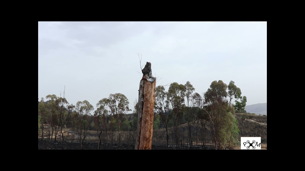 Max incendio boschivo tra Montallegro -Siculiana