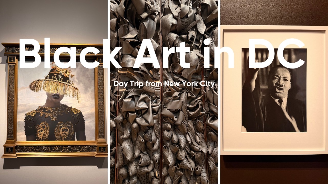 NYC to DC Day Trip | Visiting 3 Black Art Exhibitions