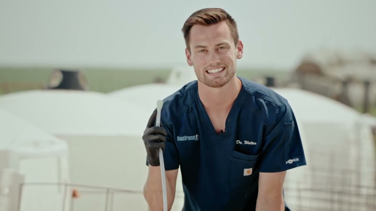 How to Tube a Calf with Dr. Spencer Wolter