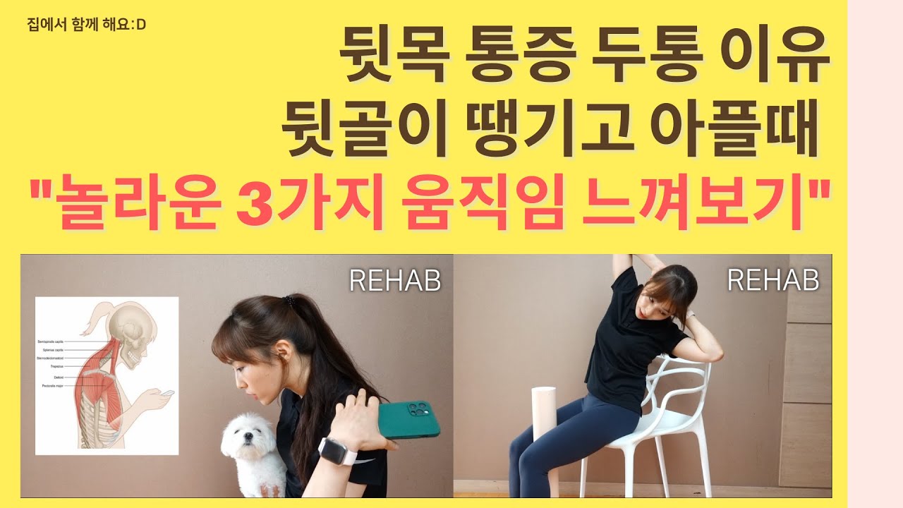 뒷골이 땡기고 아플 때,뒷목 통증,뒷골떙김 스트레칭,뒷골땡기는 이유