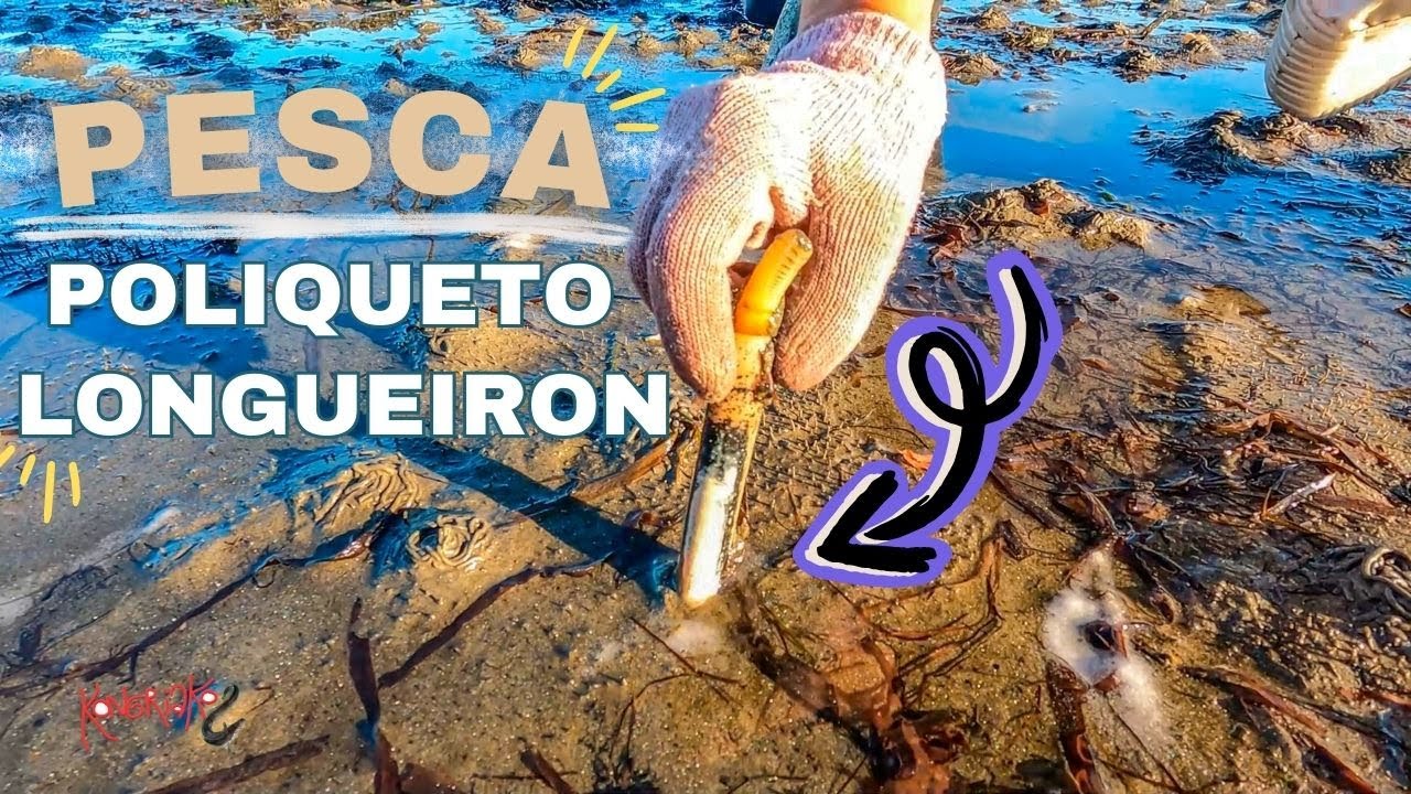 ✅UN DÍA COMO MARISCADOR🔱LA PESCA DEL POLIQUETO Y EL LONGUEIRON [Aprende sobre este Oficio]